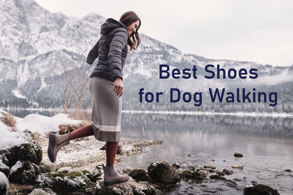 dog walking footwear