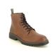 Barbour Winter Boots - Tan Leather - MFO0772/BR76 HARVEY TEX CLINT