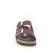 Birkenstock Slide Sandals - PLUM - 1027988/95 ARIZONA BIG BUCKLE