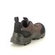 ECCO Walking Shoes - Brown leather - 822354/59325 OFFROAD LO GTX