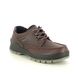 ECCO Comfort Shoes - Brown leather - TRACK 25 GORE-TEX 831714/52600