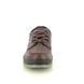 ECCO Comfort Shoes - Brown leather - TRACK 25 GORE-TEX 831714/52600