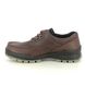 ECCO Comfort Shoes - Brown leather - TRACK 25 GORE-TEX 831714/52600