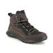 ECCO Outdoor Walking Boots - Brown multi - 824274/60993 ULT-TRN MID TEX