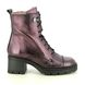 Hispanitas Lace Up Boots - Aubergine Leather - HI243605C009 EVEREST LACE