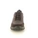 IMAC Walking Shoes - Brown leather - 3398/3474017 TROPHY LO TEX