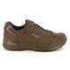 Lowa Walking Shoes - Brown leather - 311867-4298 RENEGADE EVO GTX LO