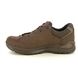 Lowa Walking Shoes - Brown leather - 311867-4298 RENEGADE GTX LO