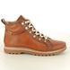 Pikolinos Lace Up Boots - Tan Leather - W3W8564/250 VIGO