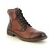 Pikolinos Winter Boots - Tan Leather - M2M8156C1/202 YORK HI LACE