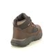 Skechers Outdoor Walking Boots - Cocoa Brown - 210932 CAMBERT HI TEX