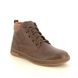 Skechers Chukka Boots - Chocolate brown - 210945 CAVELL MID TEX