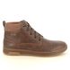 Skechers Chukka Boots - Chocolate brown - 210945 CAVELL MID TEX