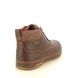 Skechers Chukka Boots - Chocolate brown - 210945 CAVELL MID TEX