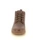 Skechers Chukka Boots - Chocolate brown - 210945 CAVELL MID TEX