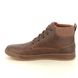 Skechers Chukka Boots - Chocolate brown - 210945 CAVELL MID TEX