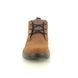 Skechers Chukka Boots - Brown - 204873 PROVEN TEX CONKLIN