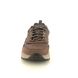 Skechers Comfort Shoes - Cocoa Brown - 210925 SLADE ULTRA PERALTO