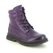 Westland Biker Boots - Purple - 769521/780574 PEYTON 01 TEX