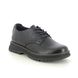 Westland Brogues - Black - 769530/780100 PEYTON 10